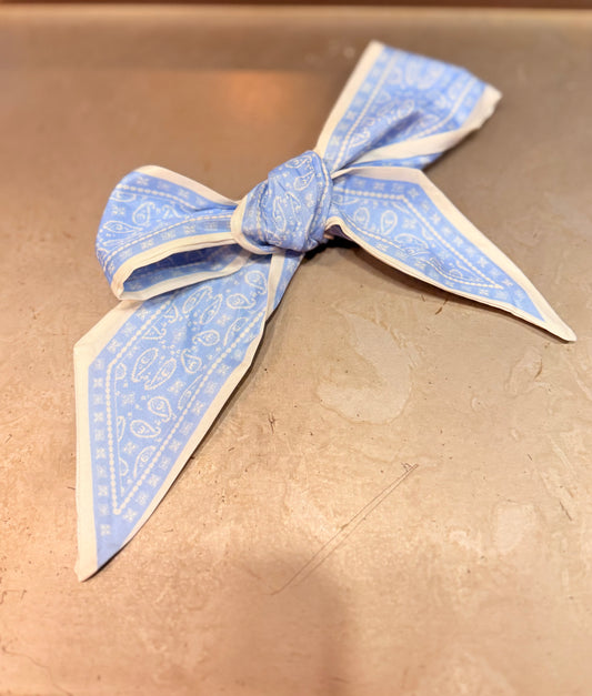 💙 Bluebell Charm Scarf