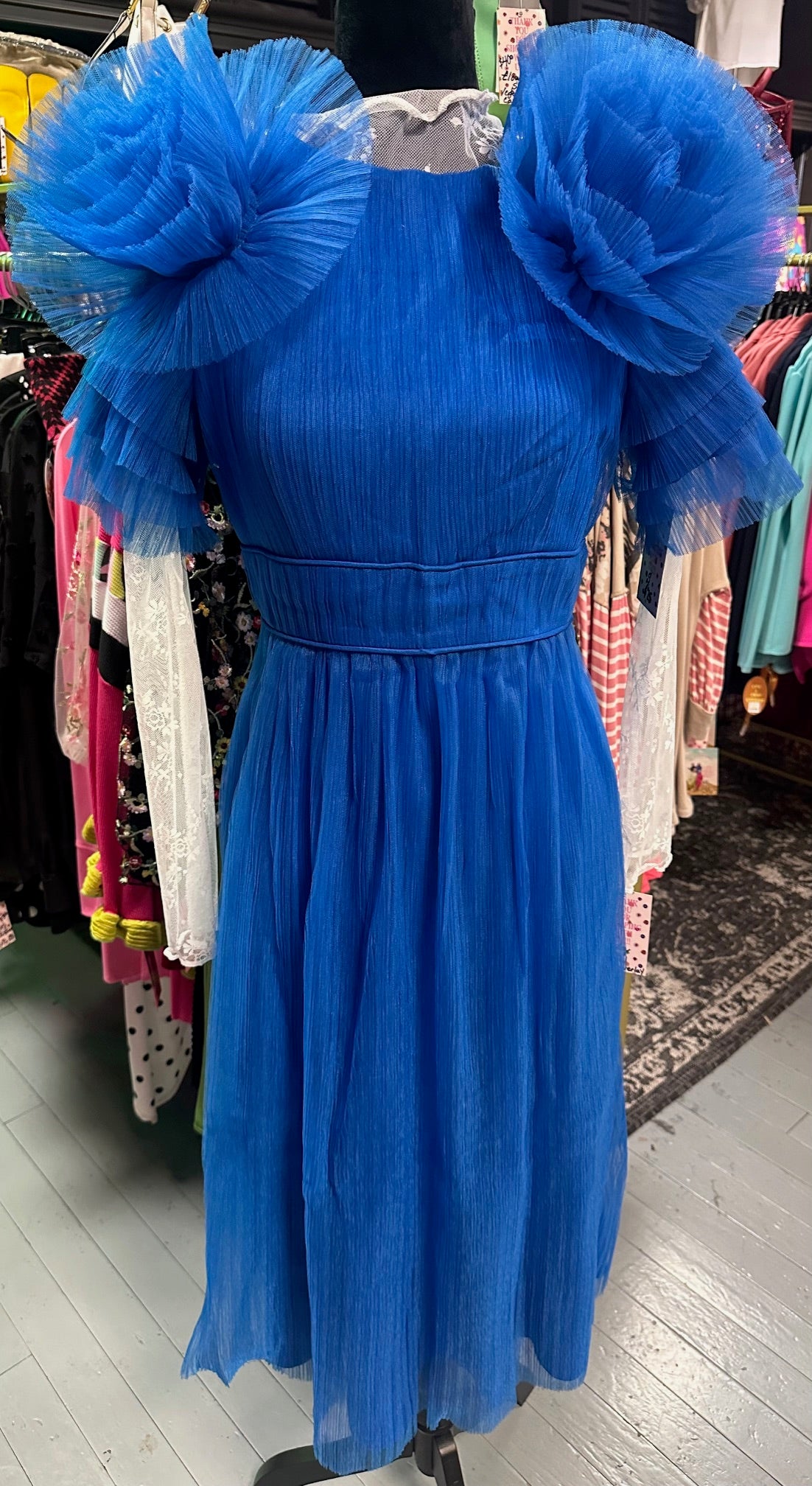 👑A Royal Affair👑 Tulle Dress