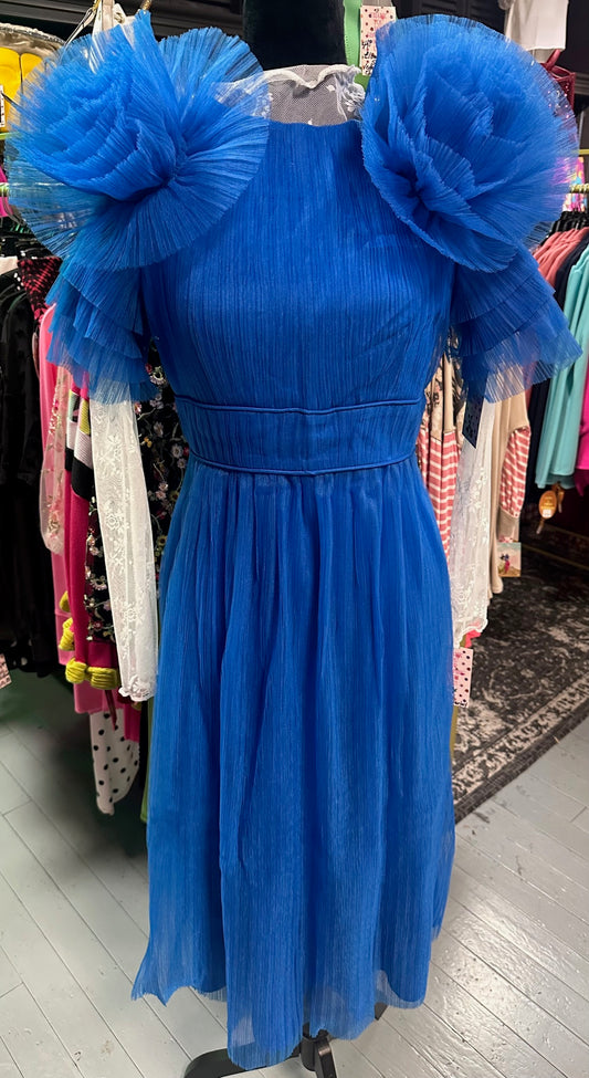 👑A Royal Affair👑 Tulle Dress