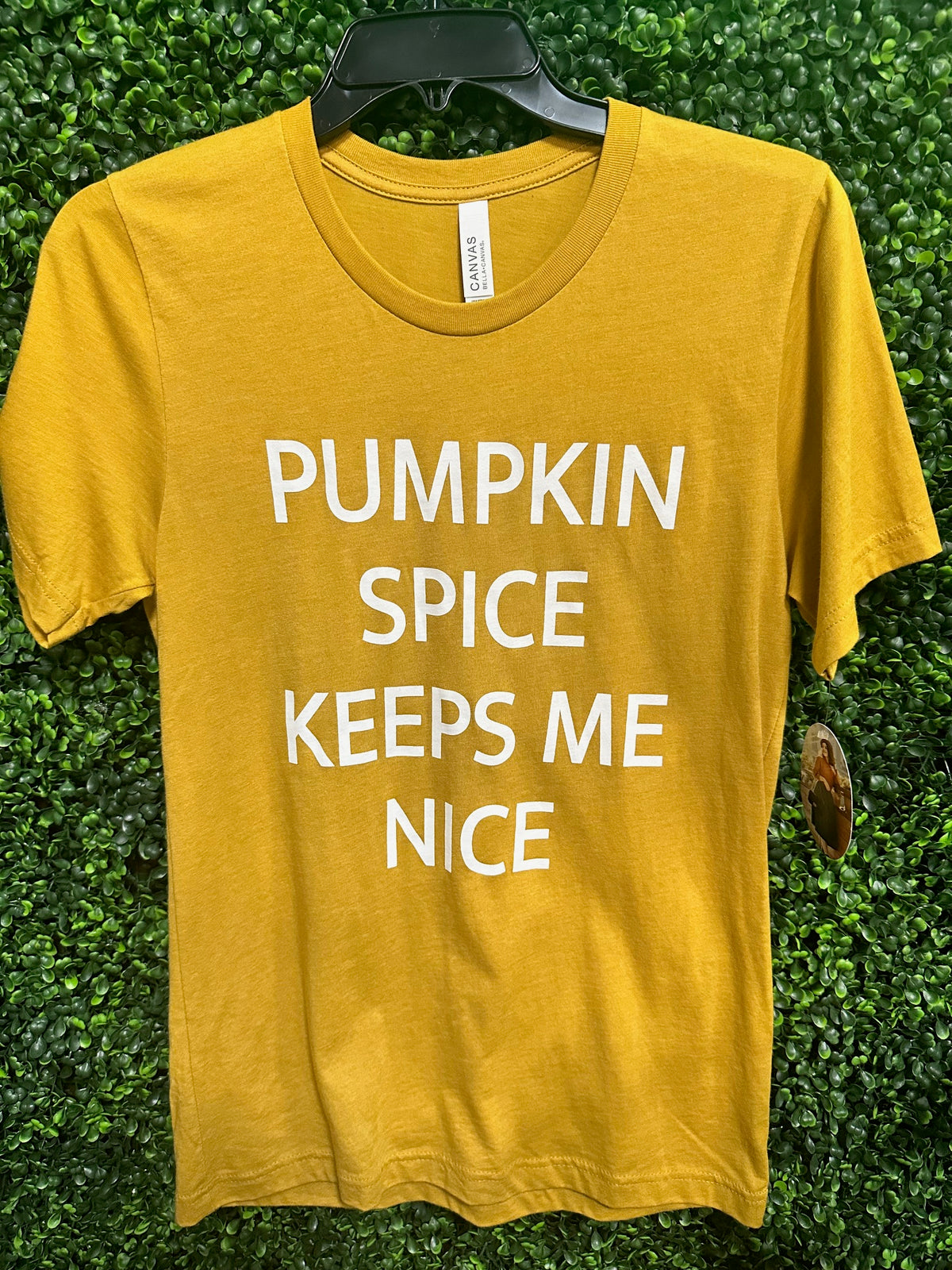 "Pumpkin Spice Keeps Me Nice" Fall T-Shirt (2 Options)