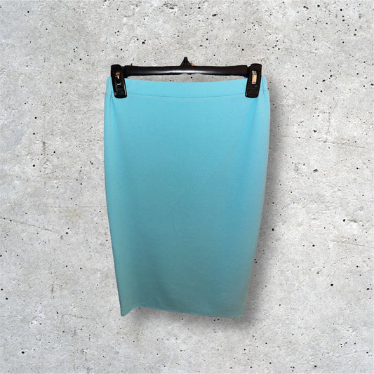 Aqua Blue Pencil Skirt