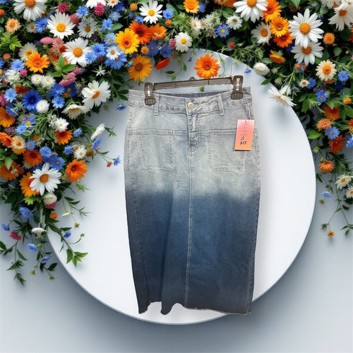 Long Light to Dark Denim Skirt
