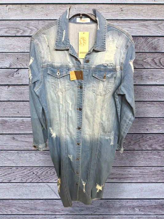 All Denim Distressed Dress
