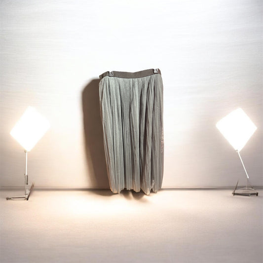 Gray Pleated Tulle Skirt